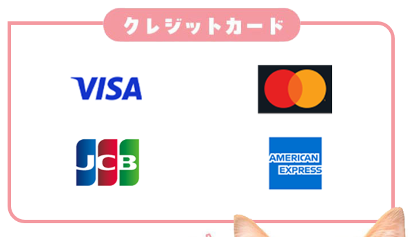 キャッツマネーのクレジットカード対応ブランド