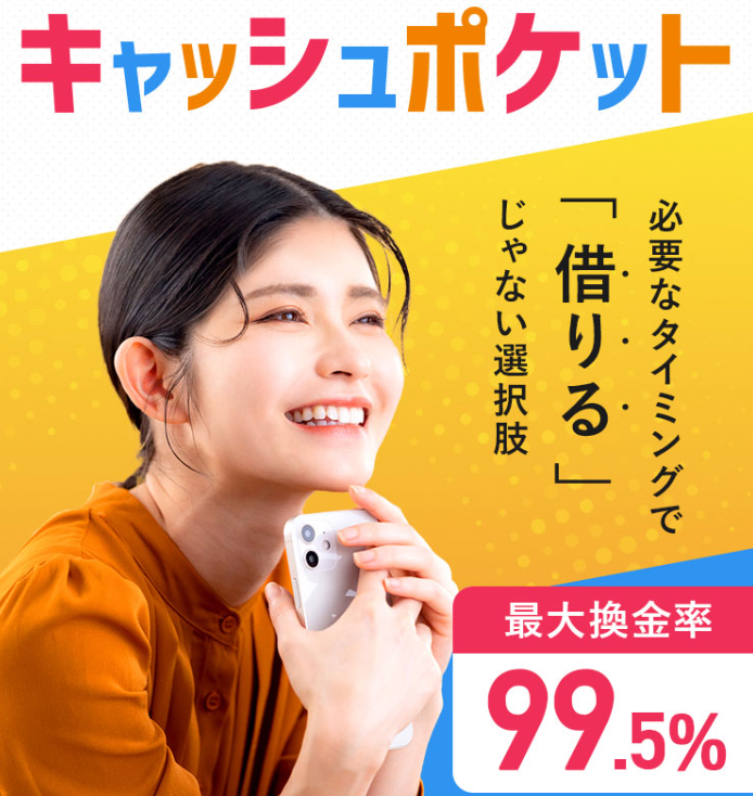 キャッシュポケットの概要