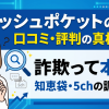 キャッシュポケットは詐欺？口コミ・評判・知恵袋の実態を調査