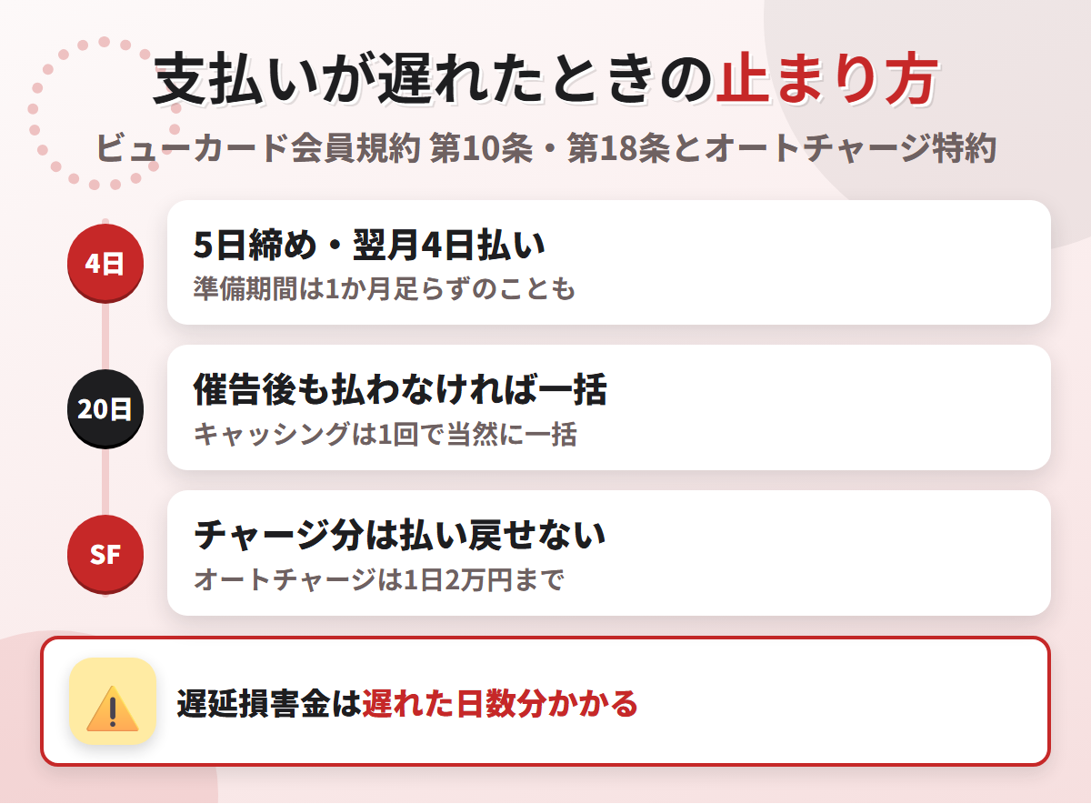 ビックカメラSuicaカードの支払いが遅れたときの流れ。5日締め翌月4日払いで、催告後も払わなければ一括、オートチャージした分は払い戻せない