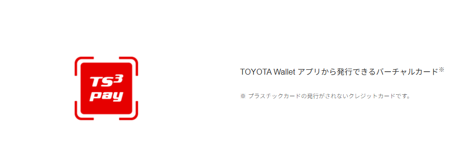 TS CUBIC Payの公式ページ